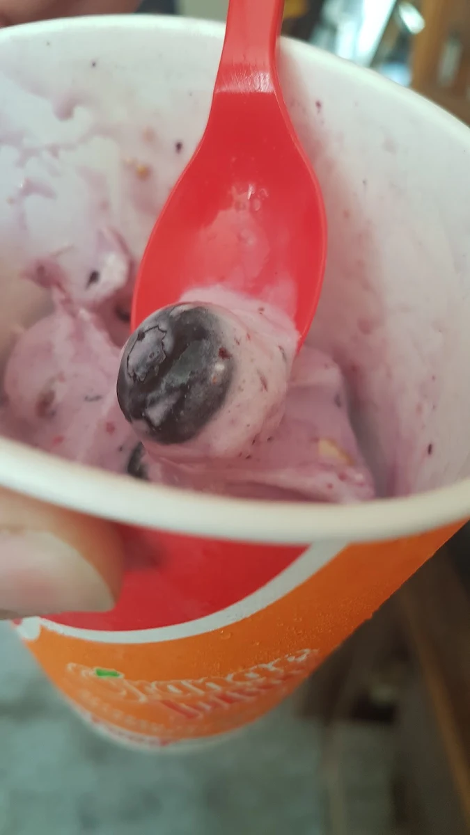 Summer Berry Cheesecake Blizzard