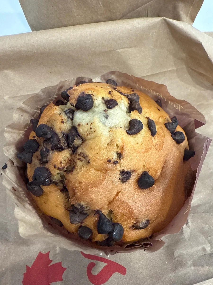 Chocolate Chip Muffin