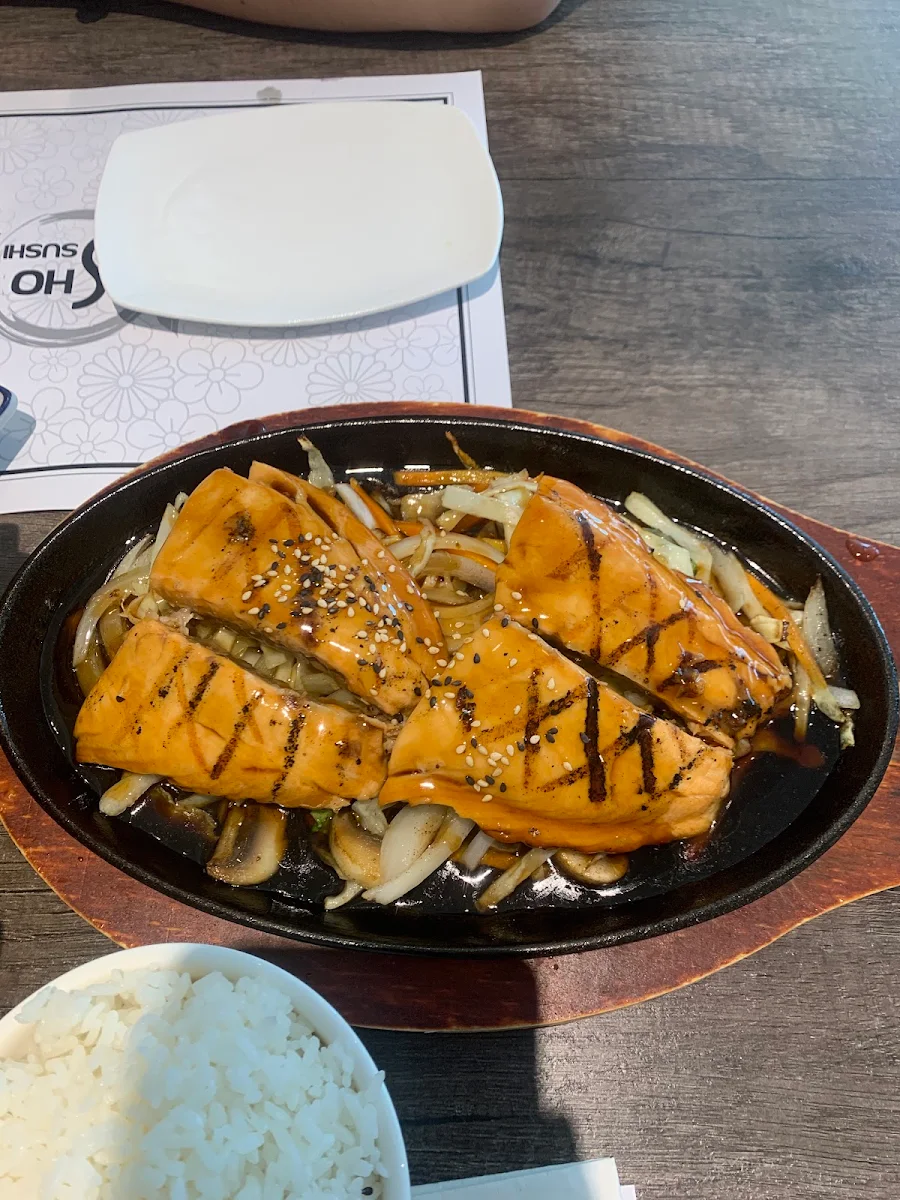 te03 Salmon Teriyaki