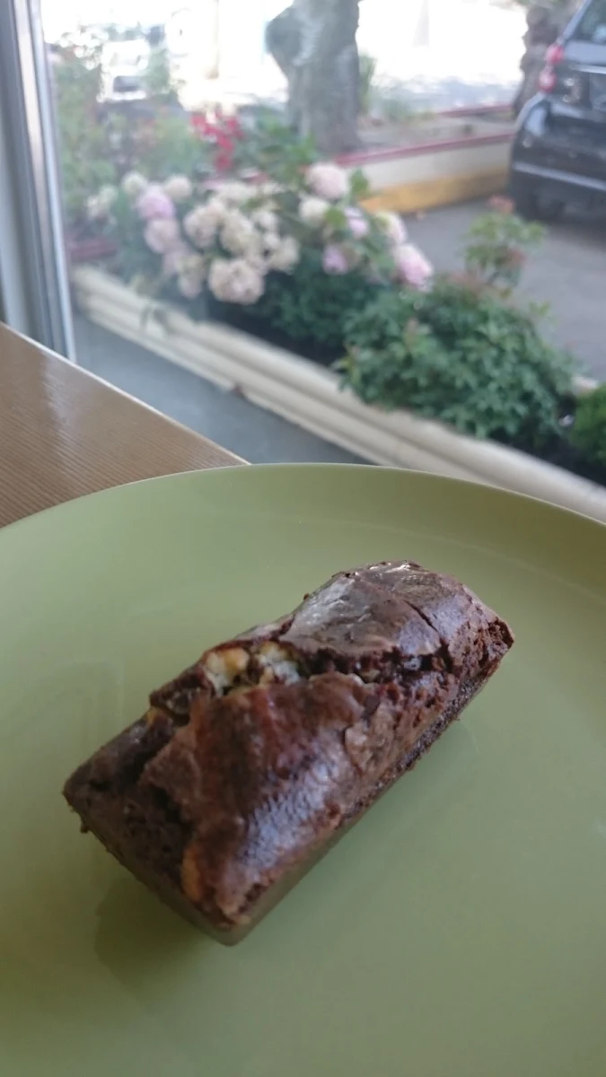 Fudgy Chocolate Brownie