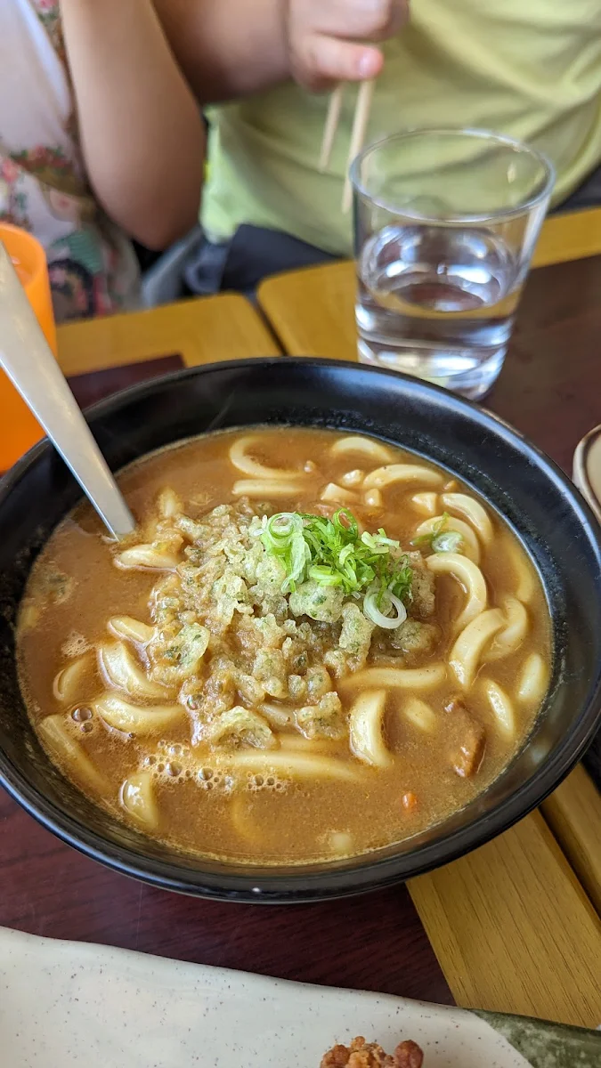 Curry Udon