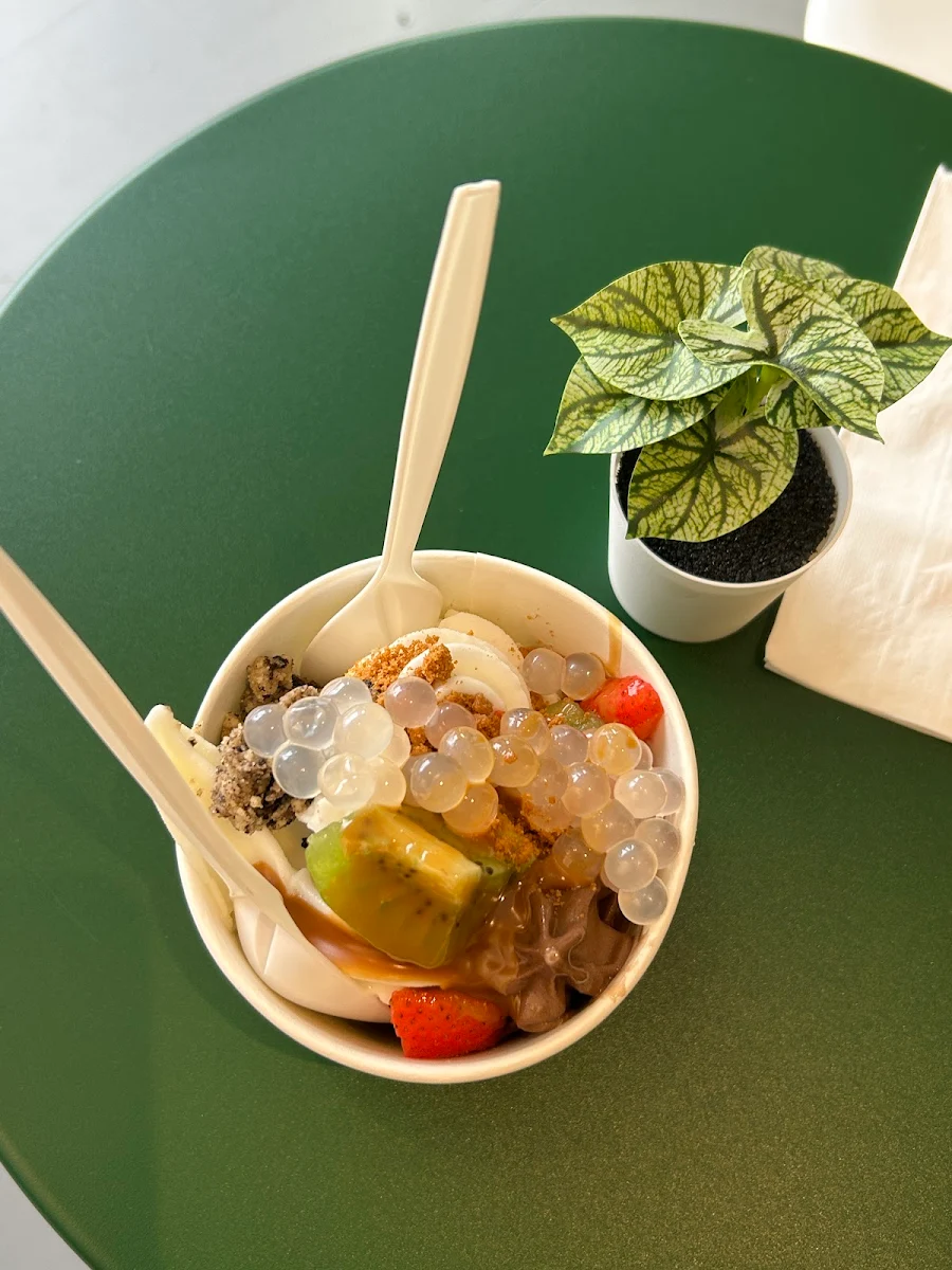 Highlights, Haydn's Açaí & Frozen Yogurt