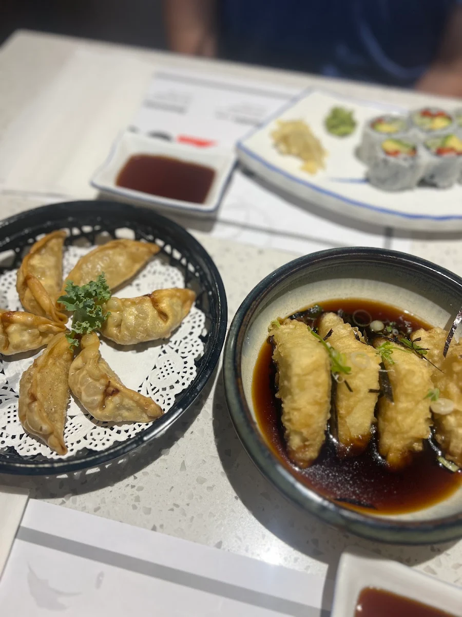 Veggie Gyoza and Fried Tofu
