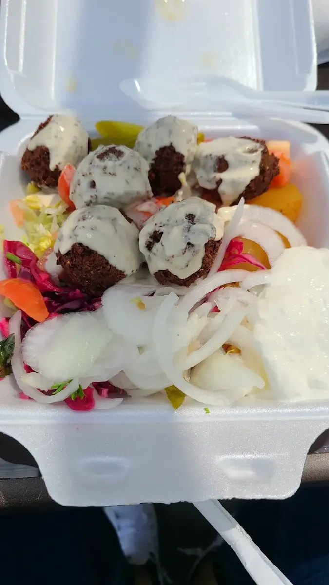 Falafel Plate