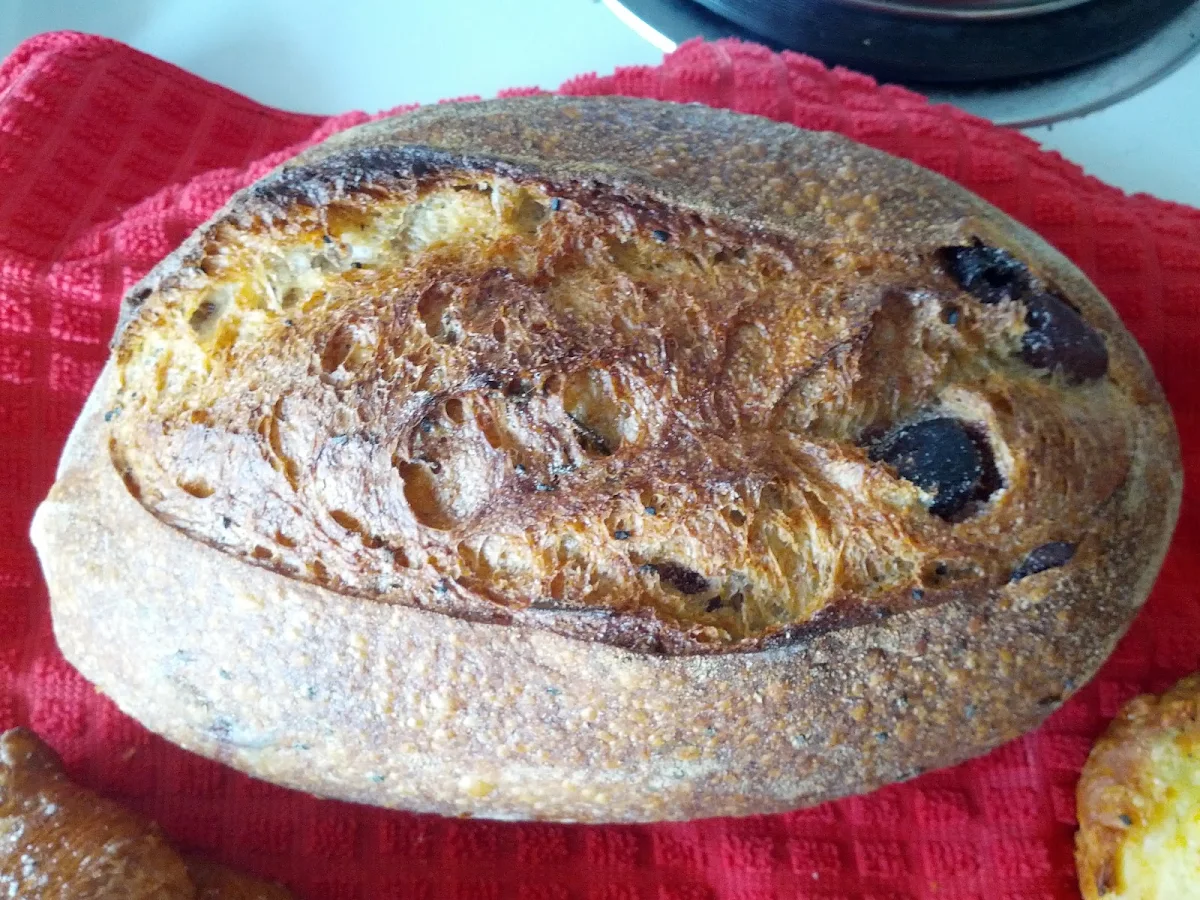 Black Olive Bread