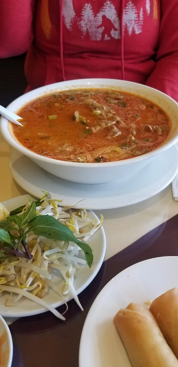 Spicy Beef Sate Noodle Soup