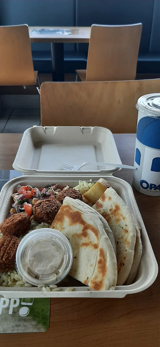 Falafel Platter