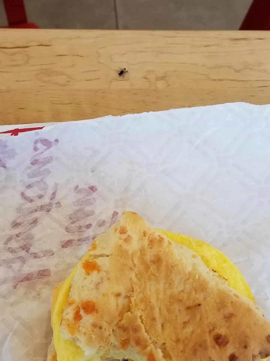 Purple Egg and Cheese on a Cheese Biscuit