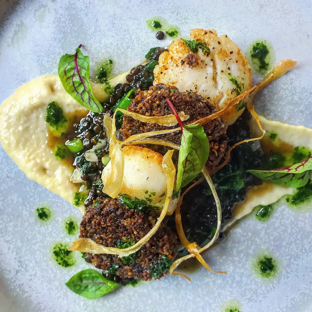 Seared Scallops Beluga