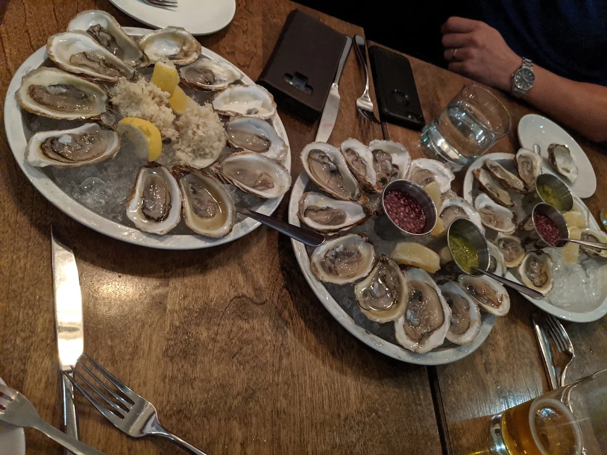 Oysters