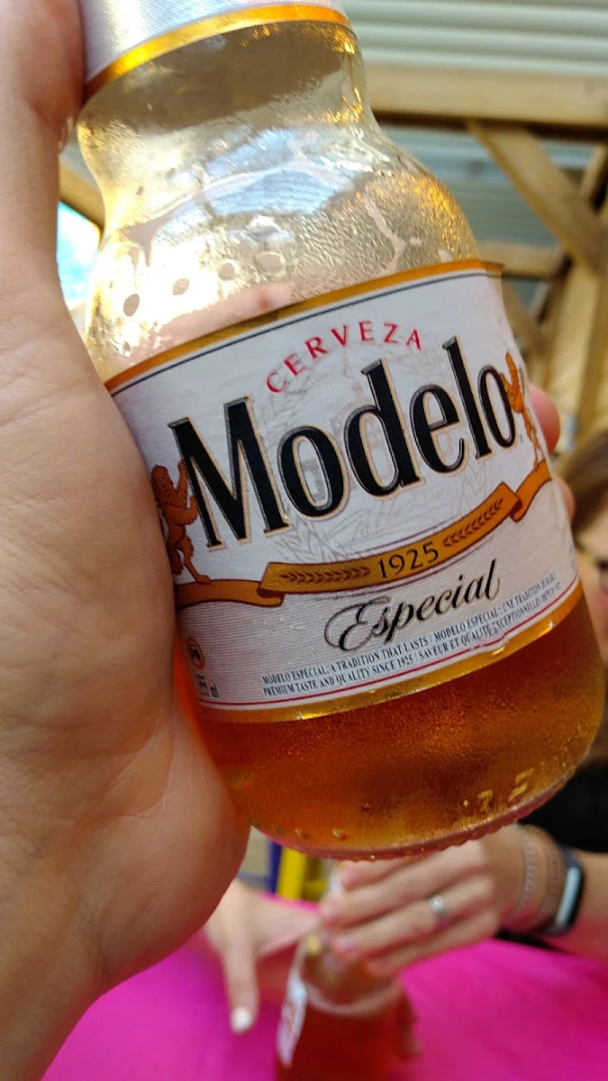 Modelo Especial