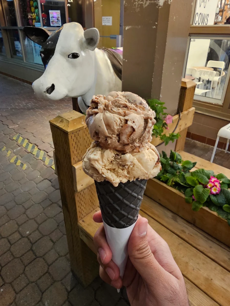 Tiramisu and Almond Mochi Ice Cream with Charcoal Cone