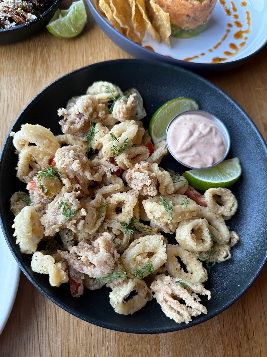 Süze Crispy Calamari