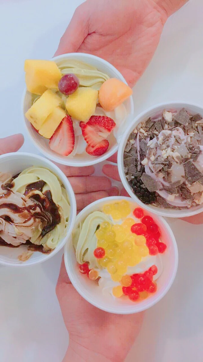 Frozen Yogurt Gelato and Sorbet