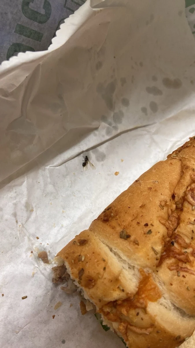 Steak & Cheese