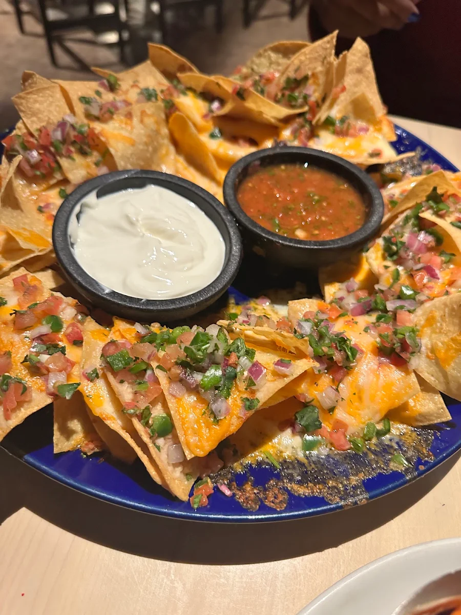Double Cheese Nachos