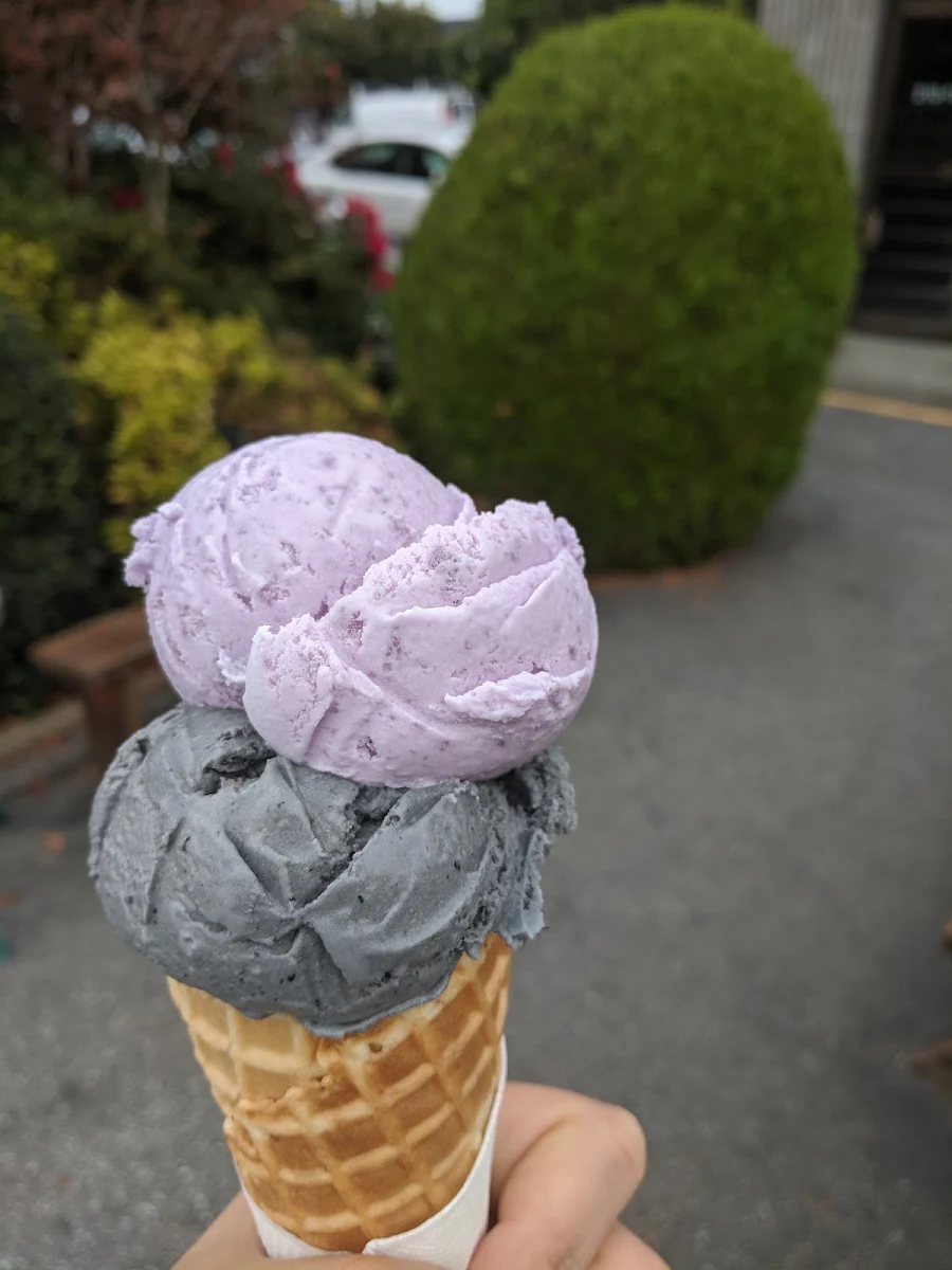 Blackberry Sorbetto Double Chocolate