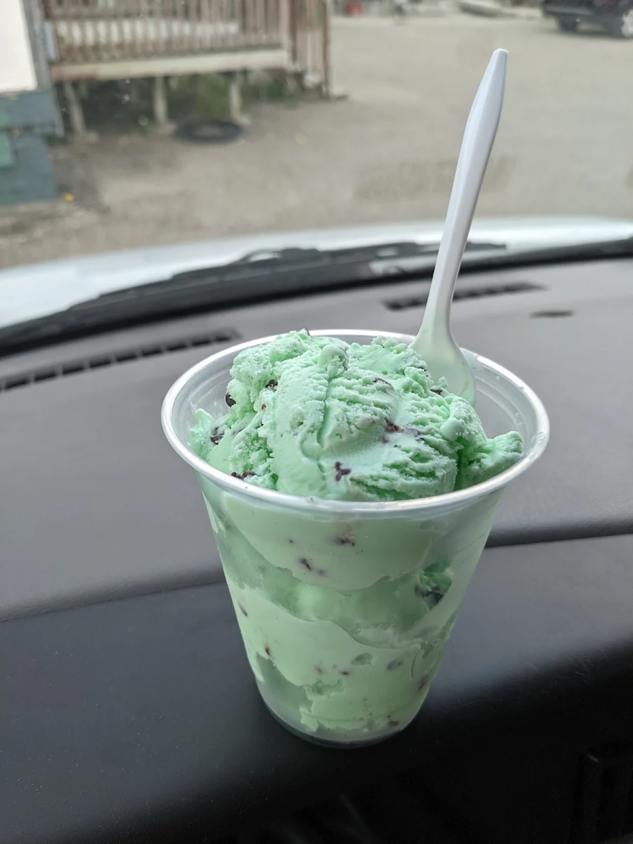 Mint Chocolate Ice Cream