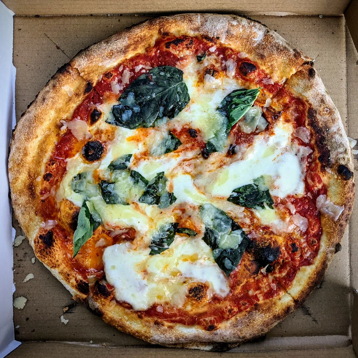 Margarita Pizza