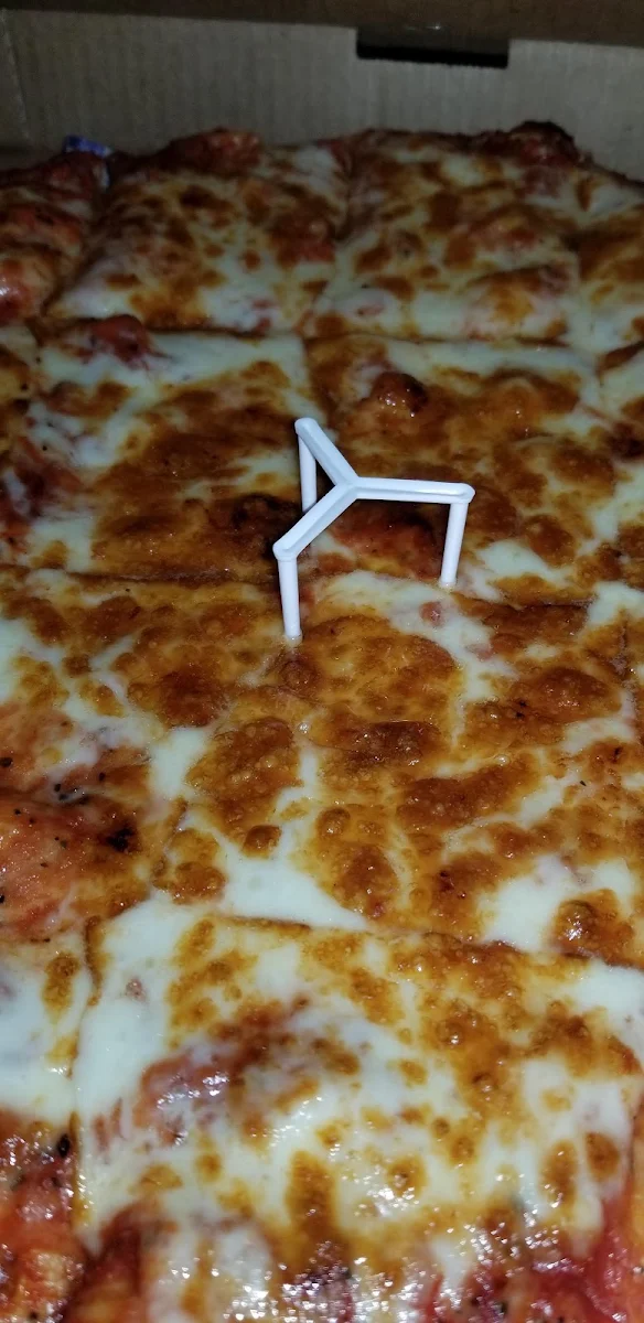 Extra Cheese Pizza