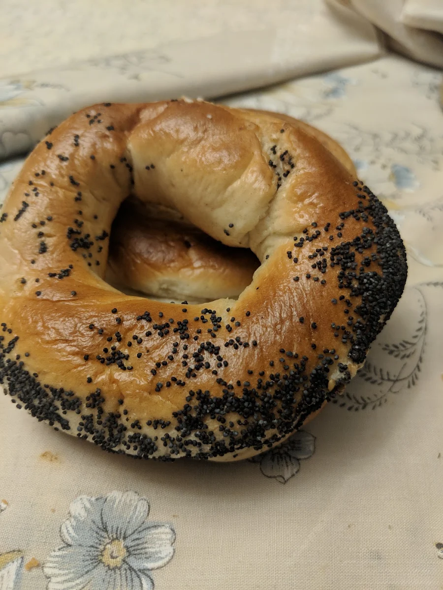 Poppy Seed Bagel