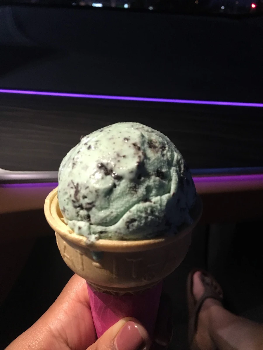 Mint Chocolate Chip Ice Cream