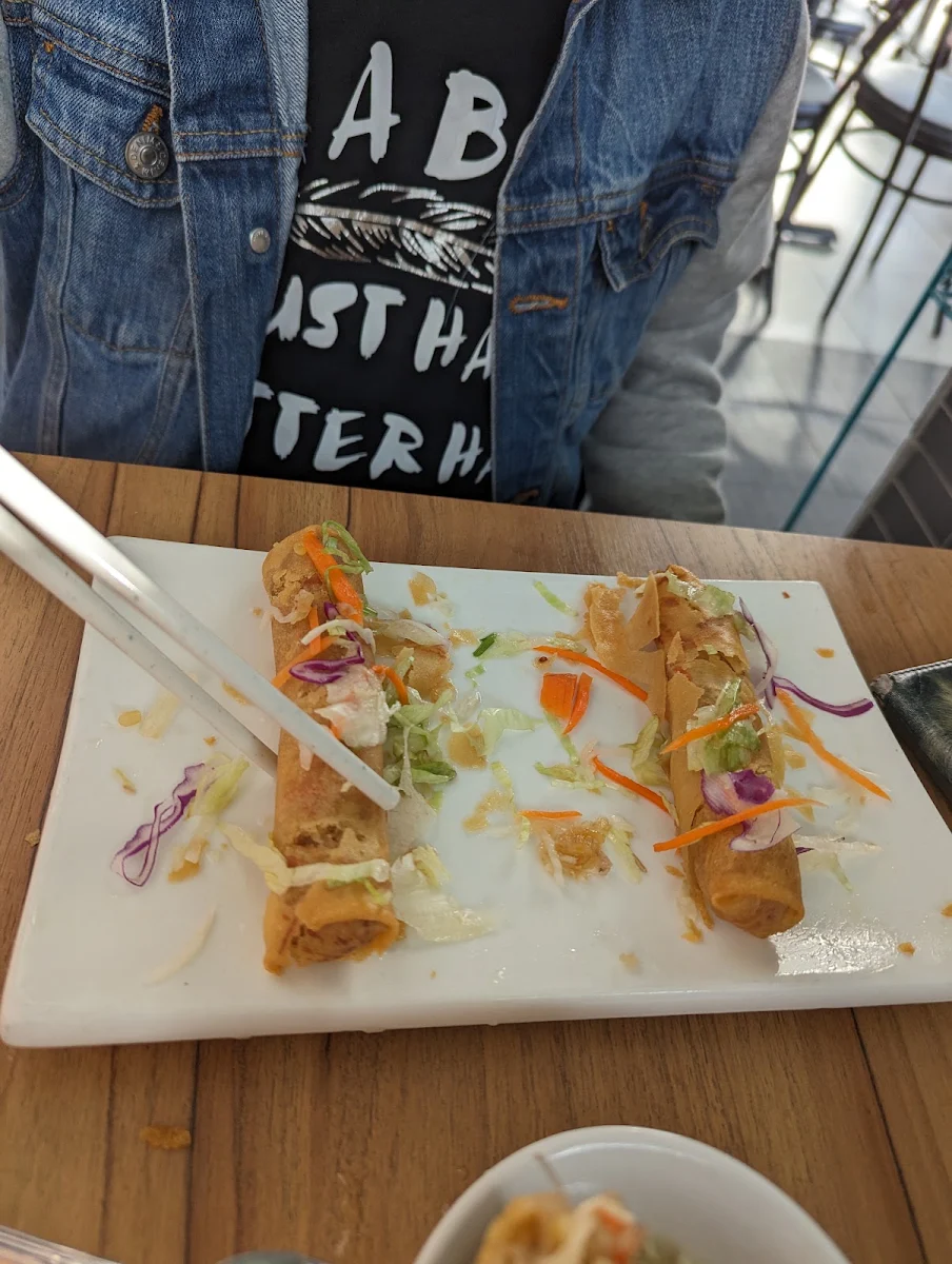 Vegetarian Spring Rolls
