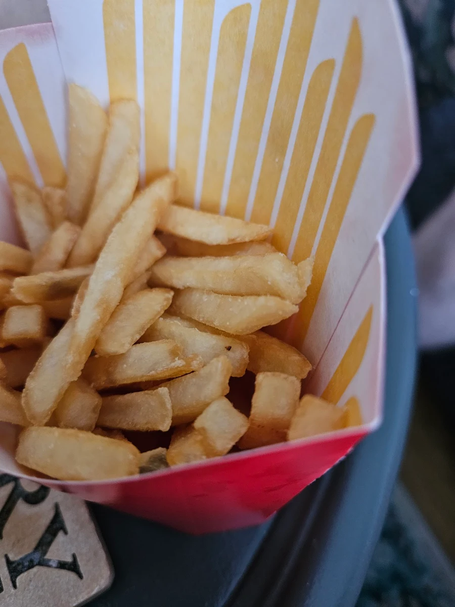 World Famous Fries – Small