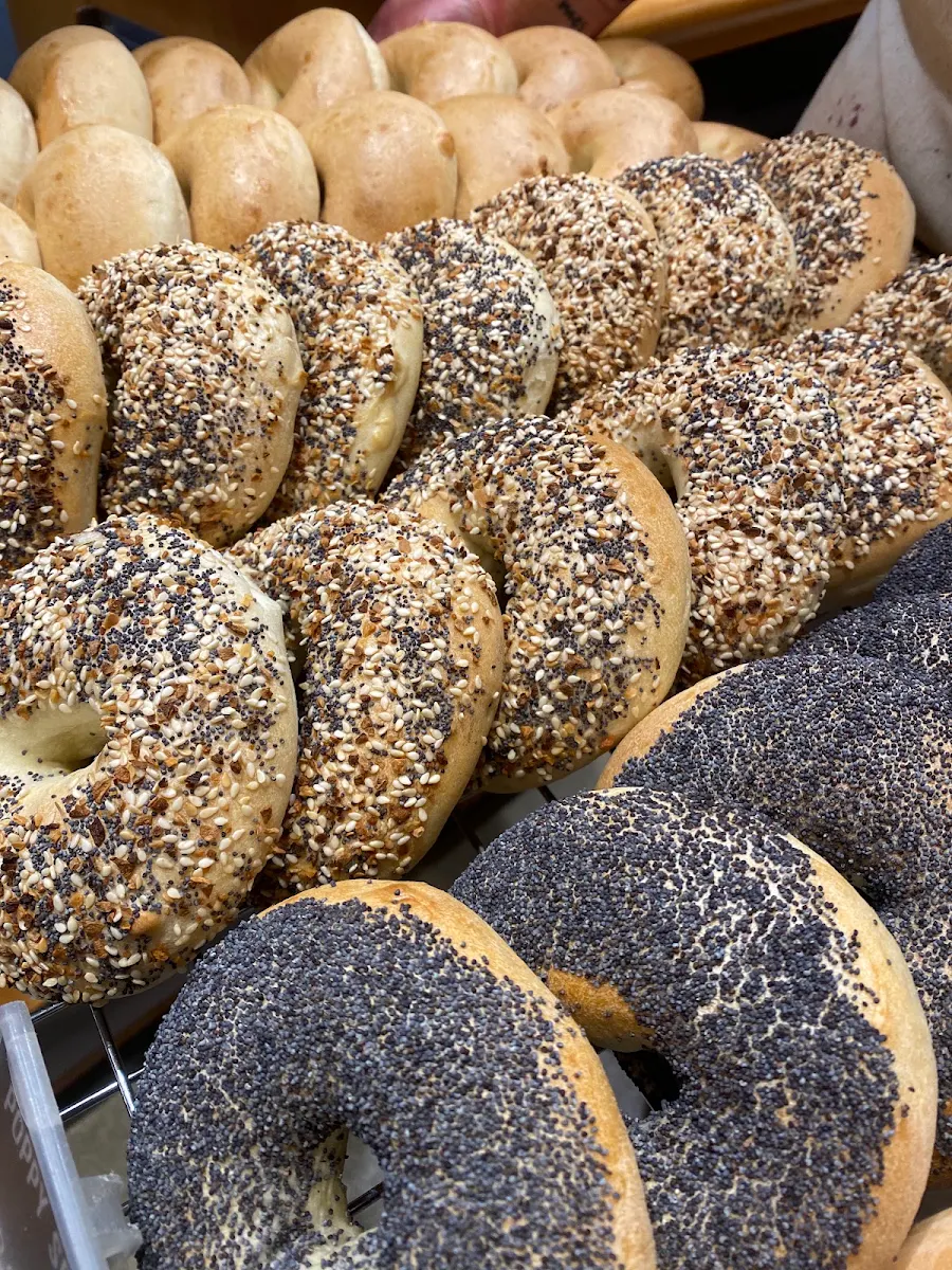 Sesame Seeds Bagel