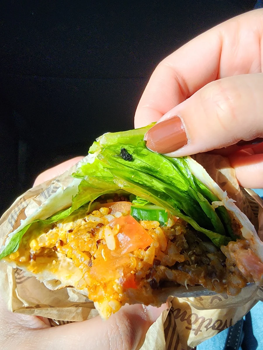 Habanero Veggie Wrap