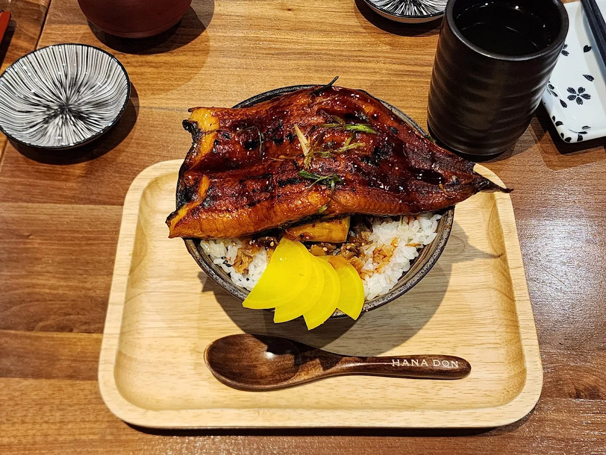 Eel Unagi Don