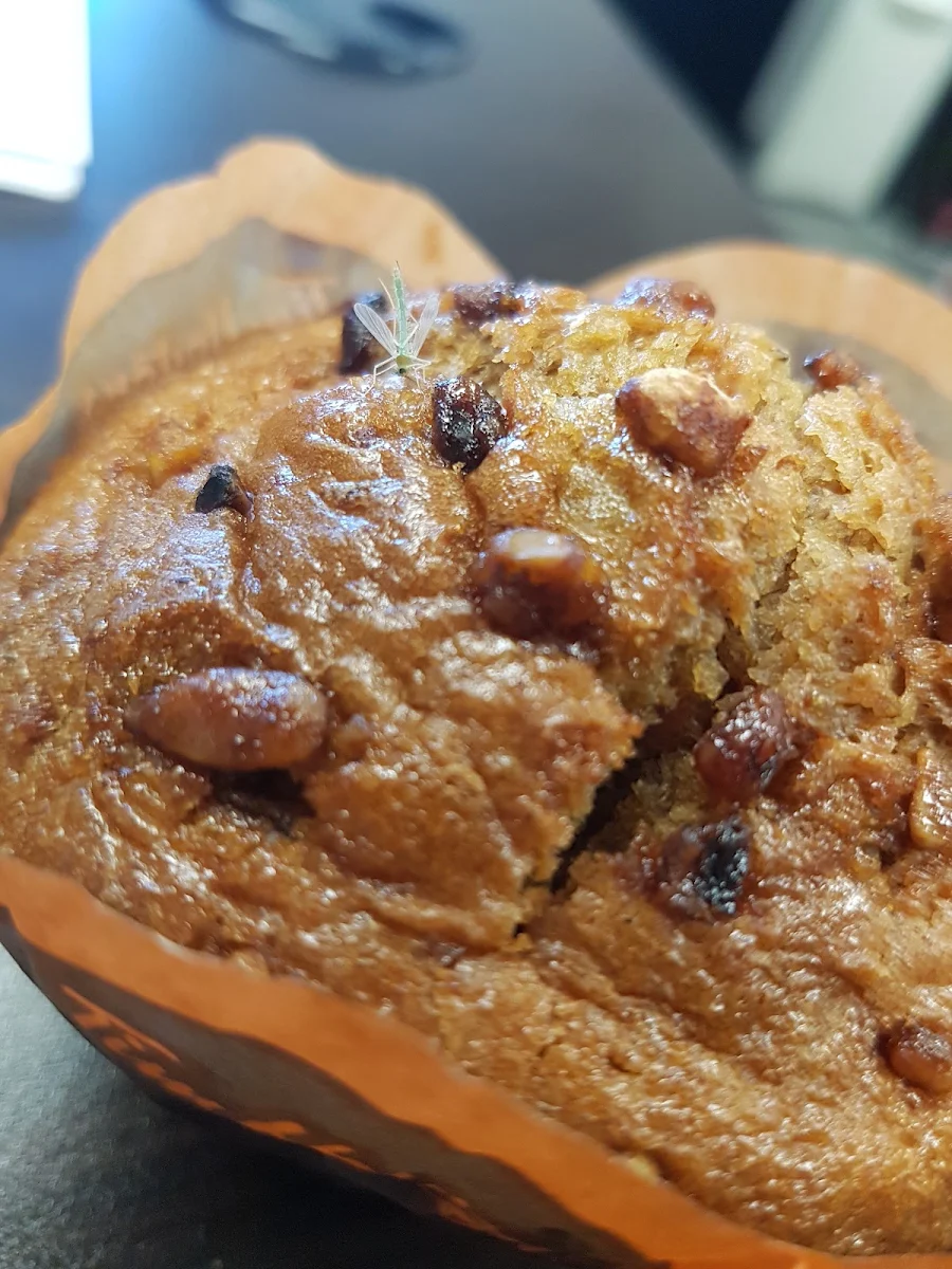 Chocolate Chip Muffin