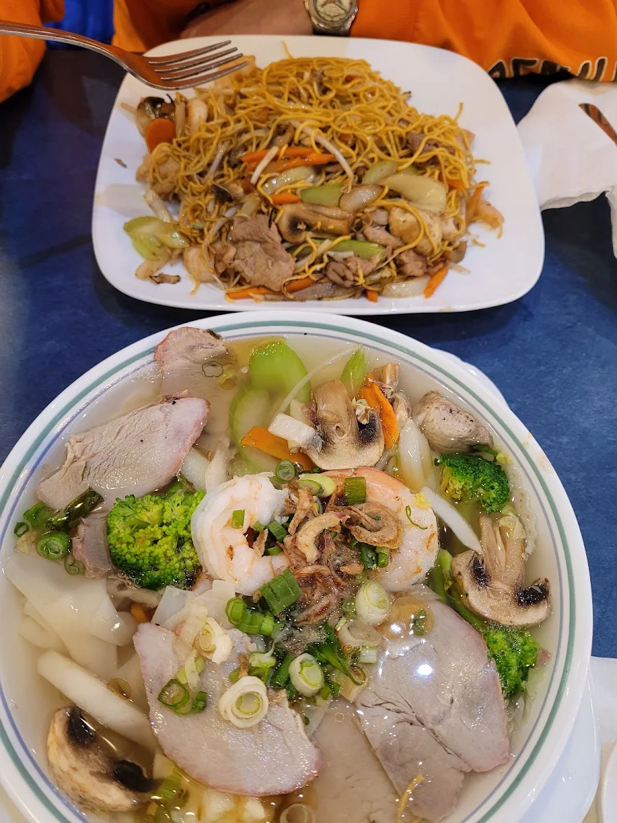 Loaded Deluxe Wanton Soup & Soft House Special Chow Mein