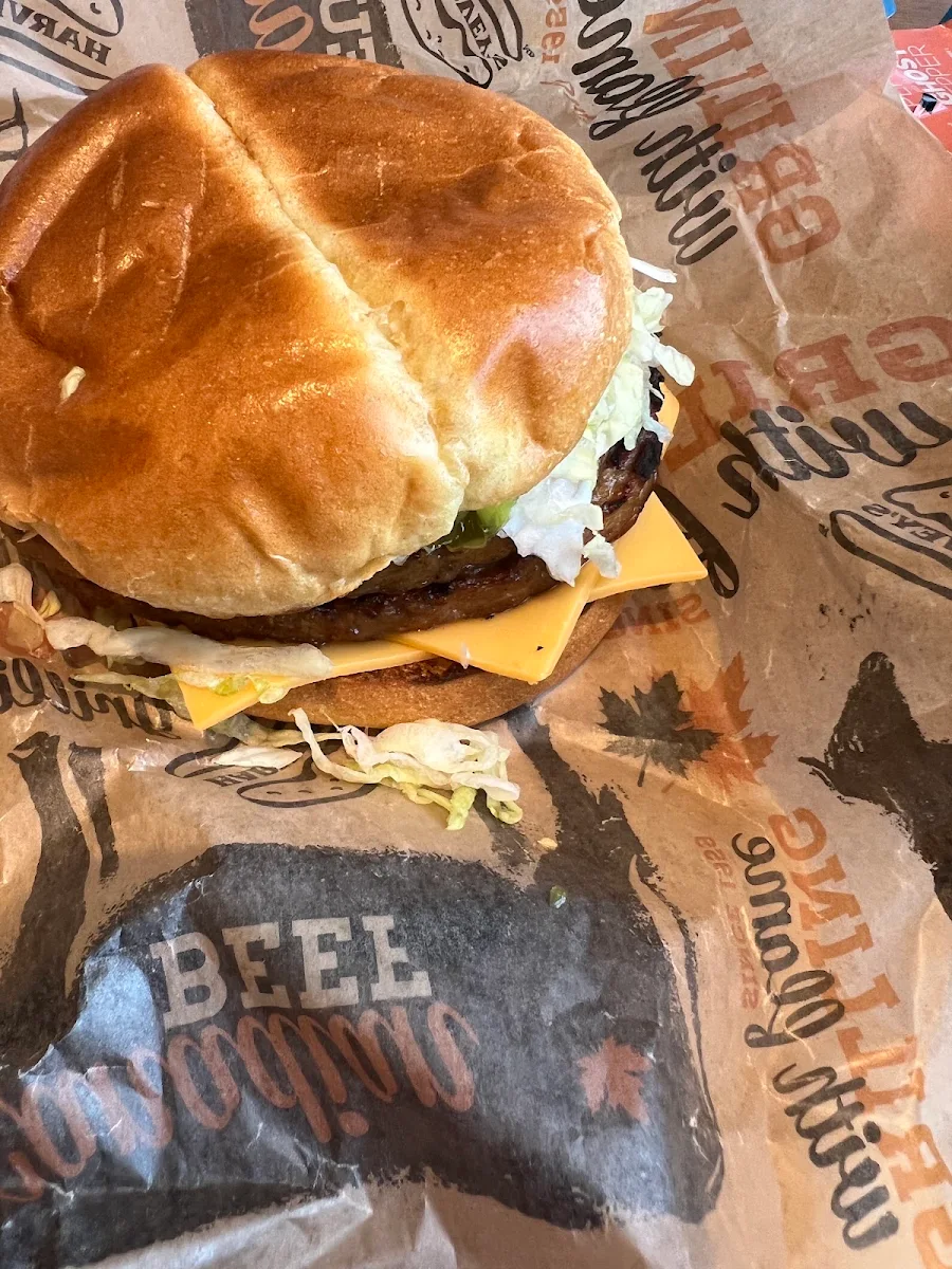Double Cheese Burger