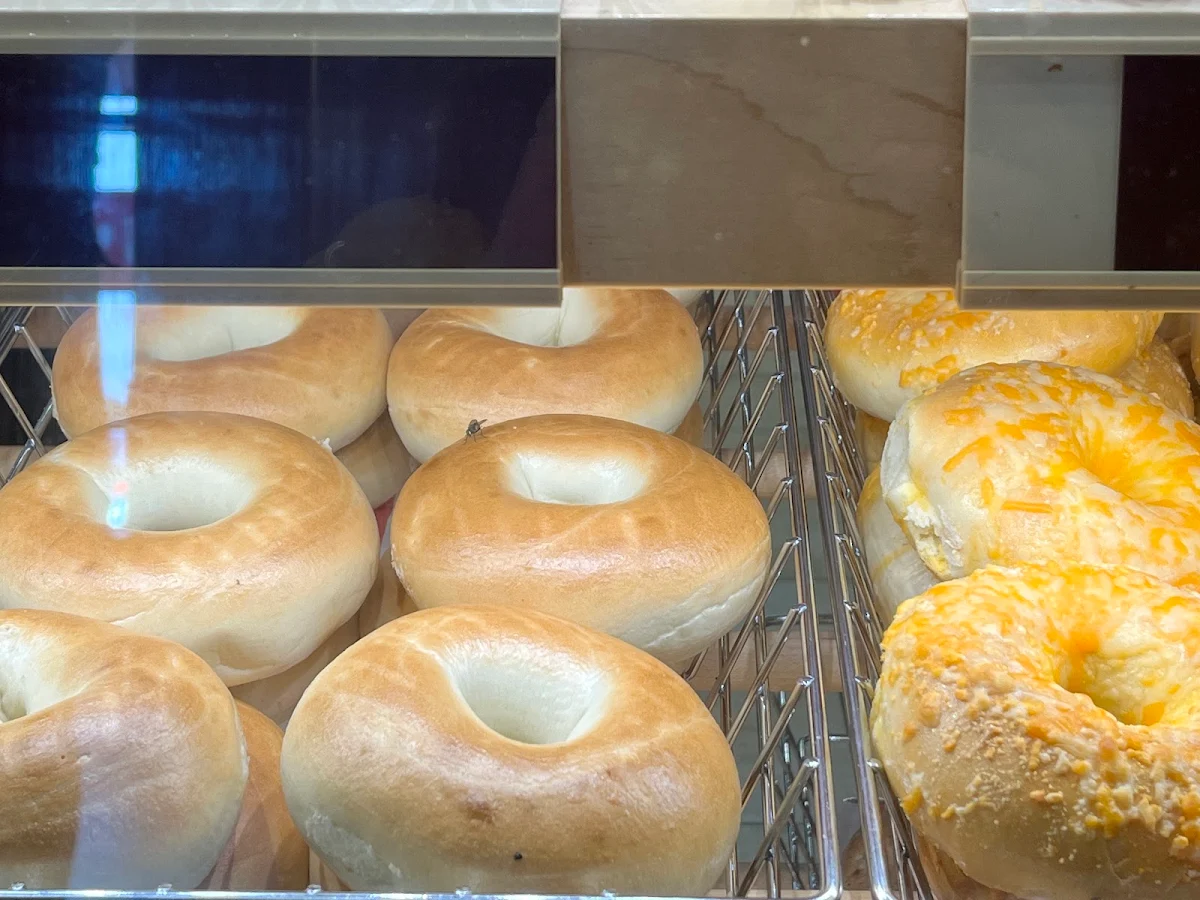 Plain Bagel