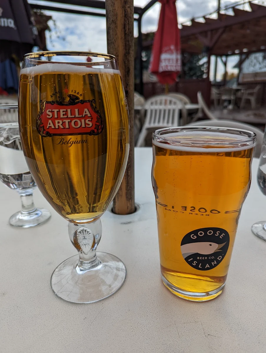 Bière Microbrasserie Goose Island IPA Et Stella Artois Belge
