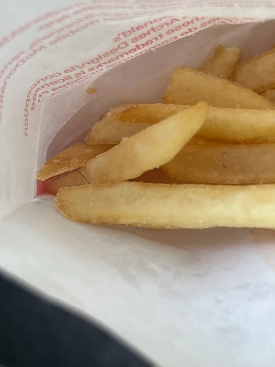 World Famous Fries – Small