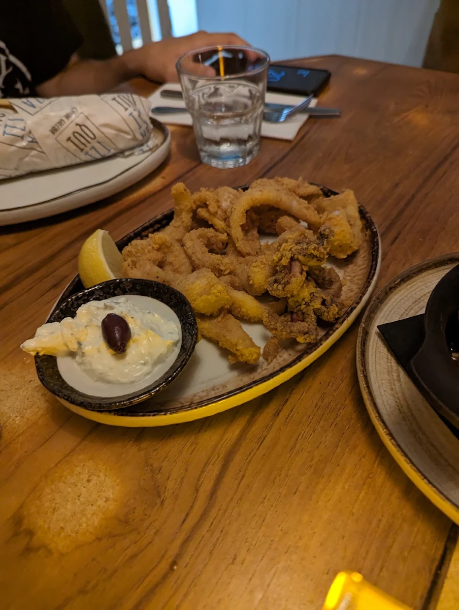 Fried Calamari