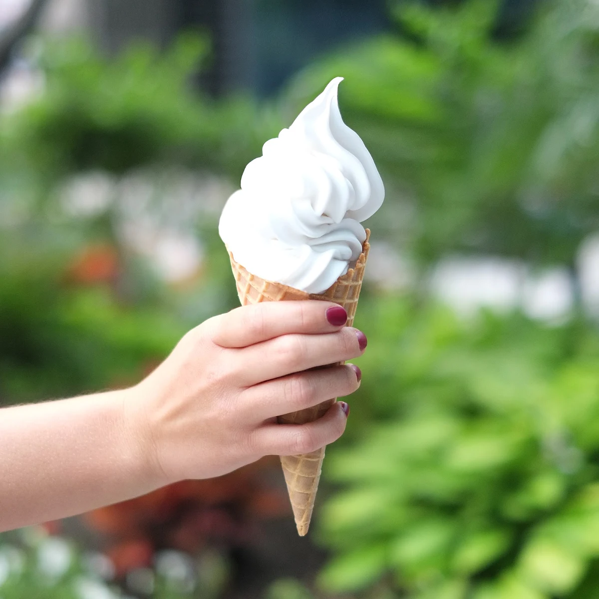 Coconut Soft Serve