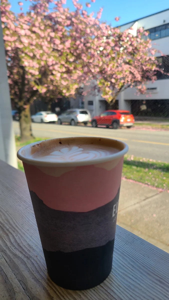 Mocha, Elysian Coffee 7th & Ontario