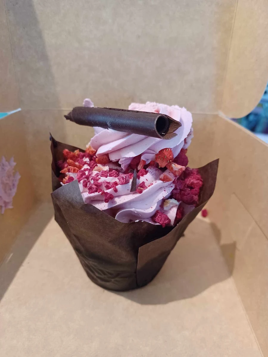 Vegan Chocolate Raspberry Cupcake