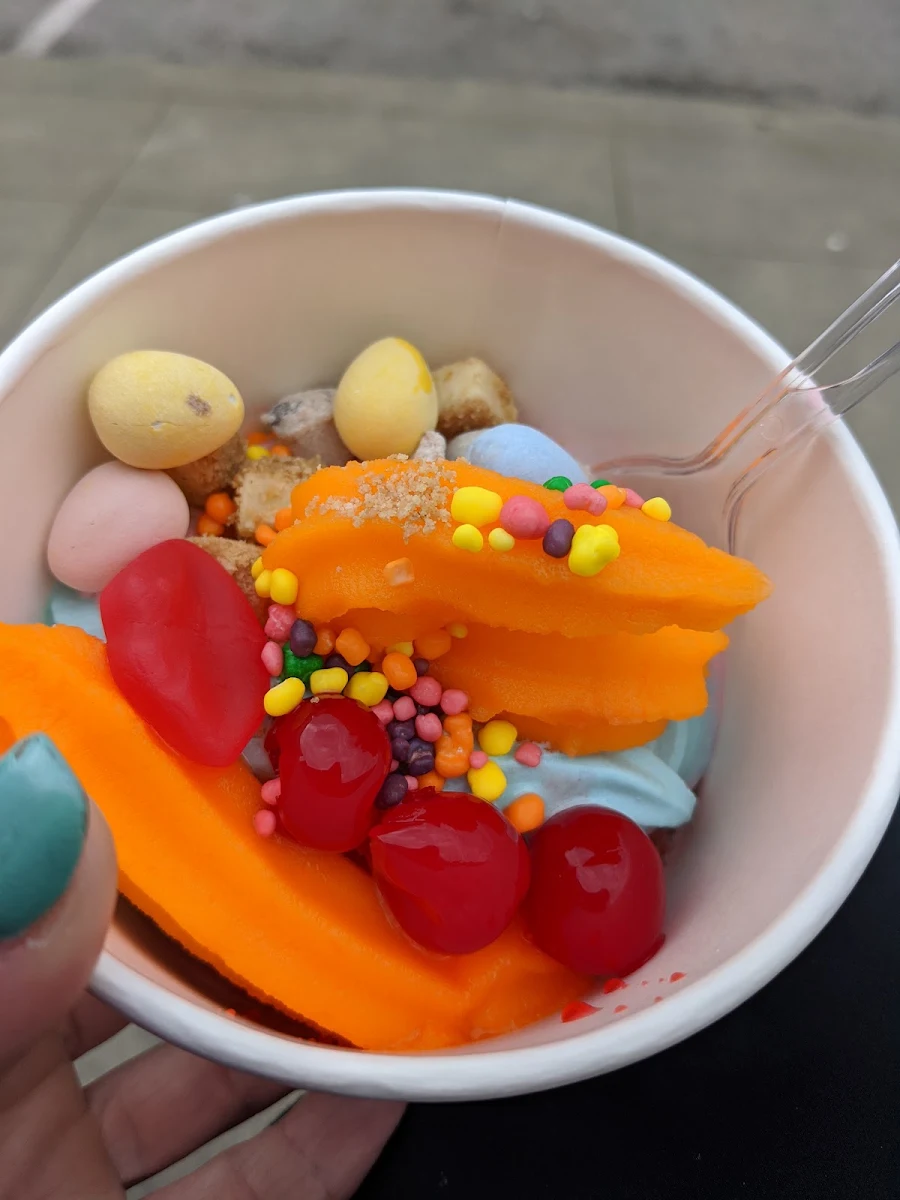 Frozen Yogurt with Lots of Sugar