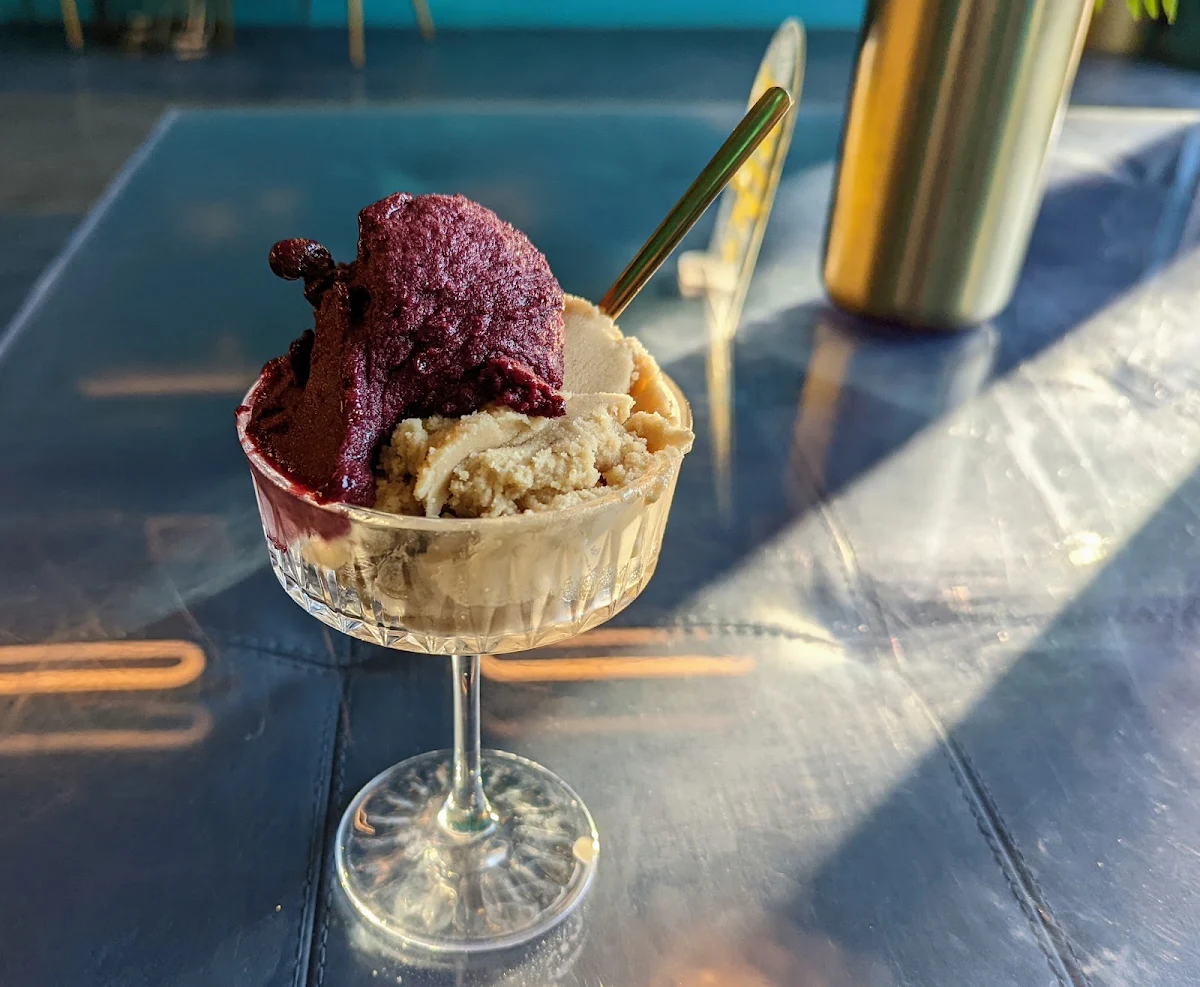 Blueberry Jam Sorbet and Hazelnut Gelato
