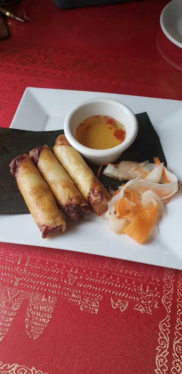 Spring Rolls