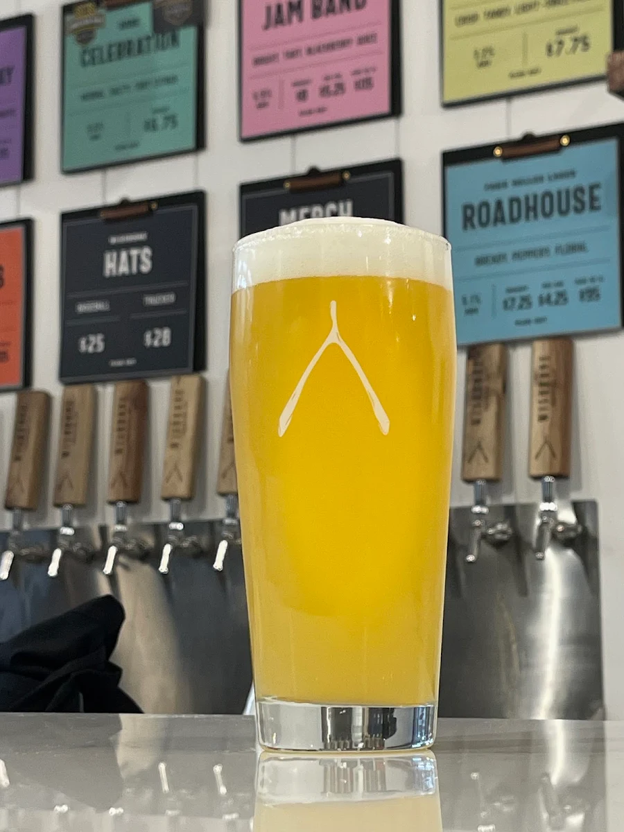 Hazy IPA