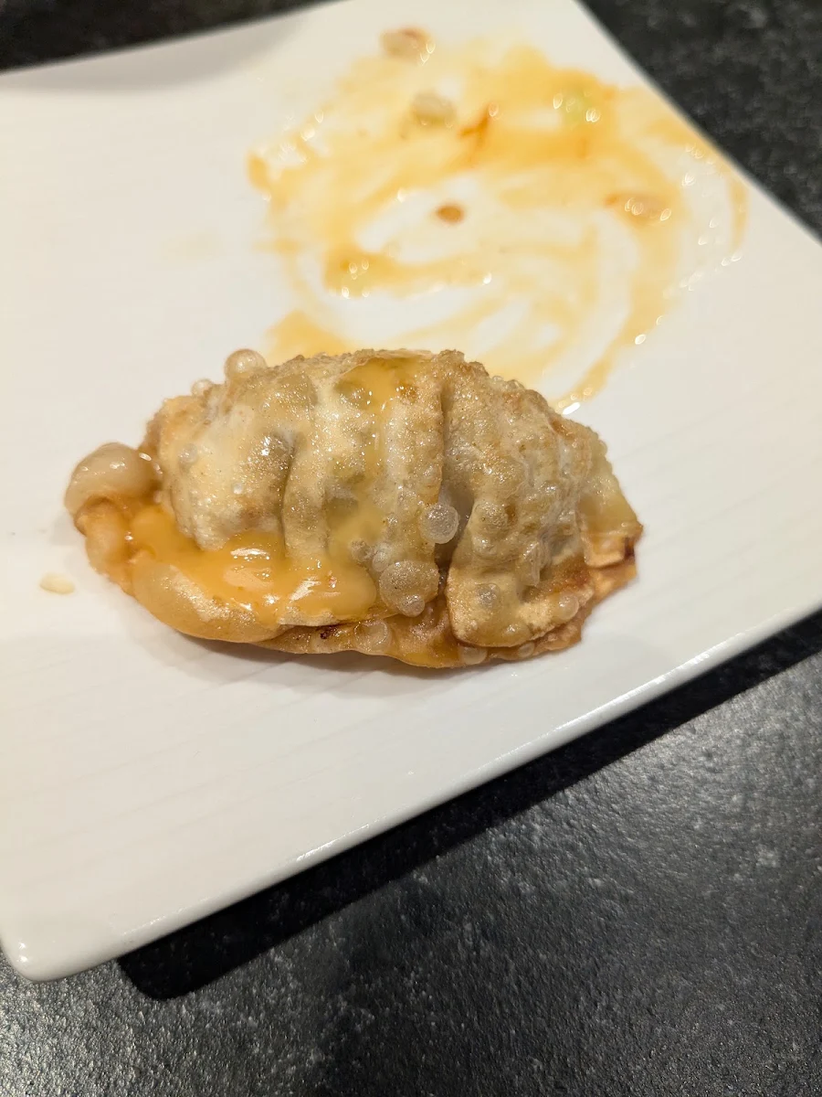 Deep Fried Gyoza