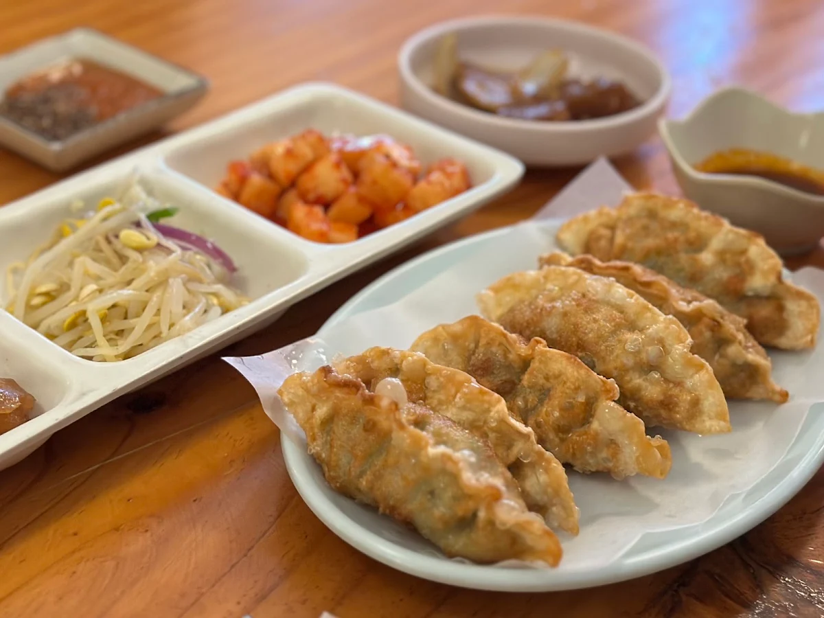 Fried Dumplings