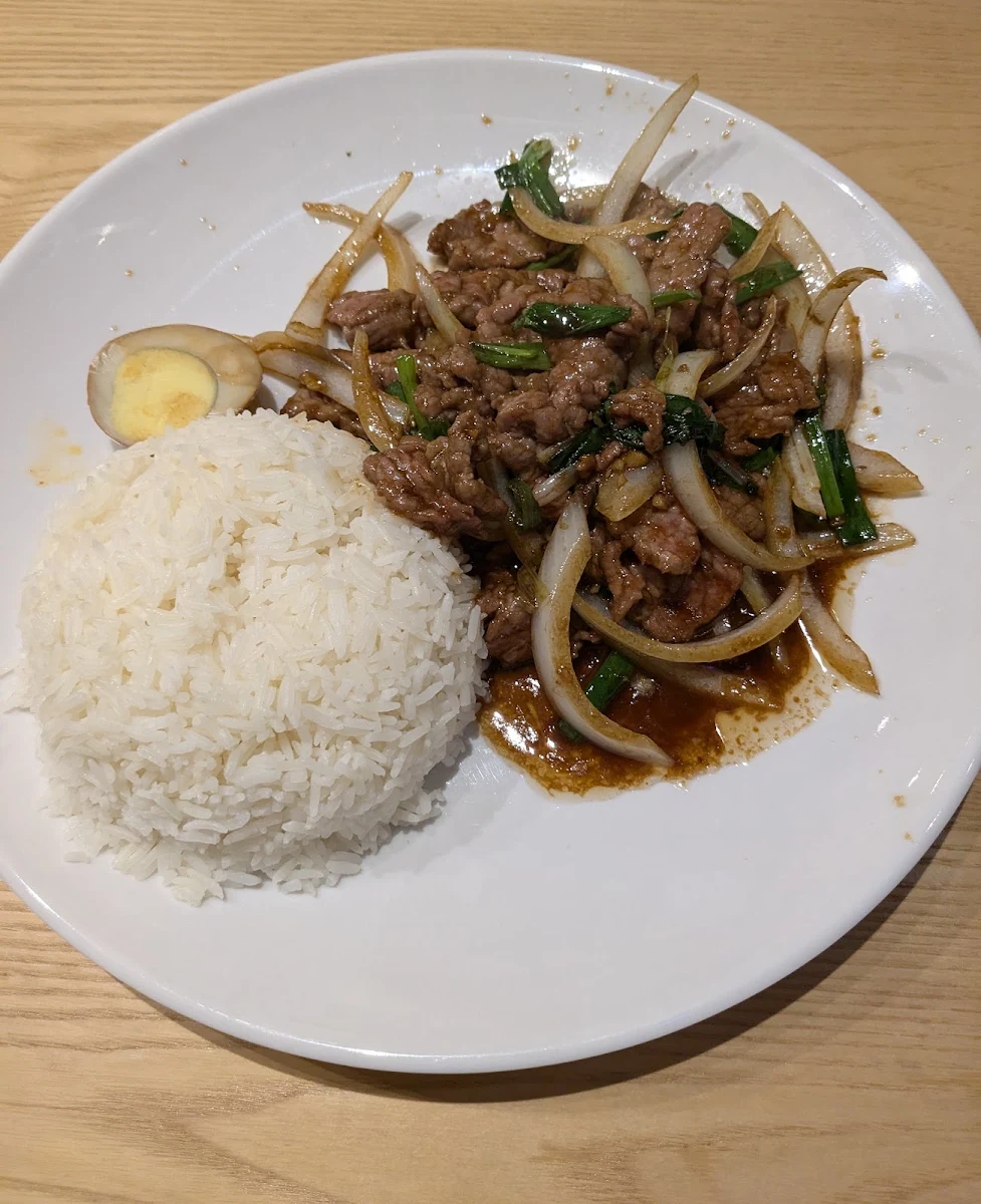 Stir Fried Beef with Scallions Rice Bowl