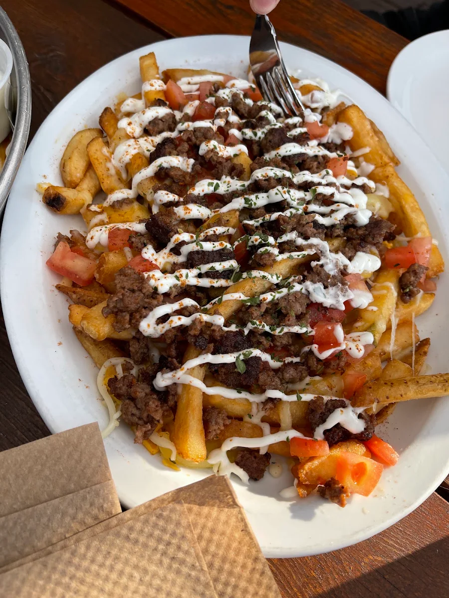 Gyro & Fries