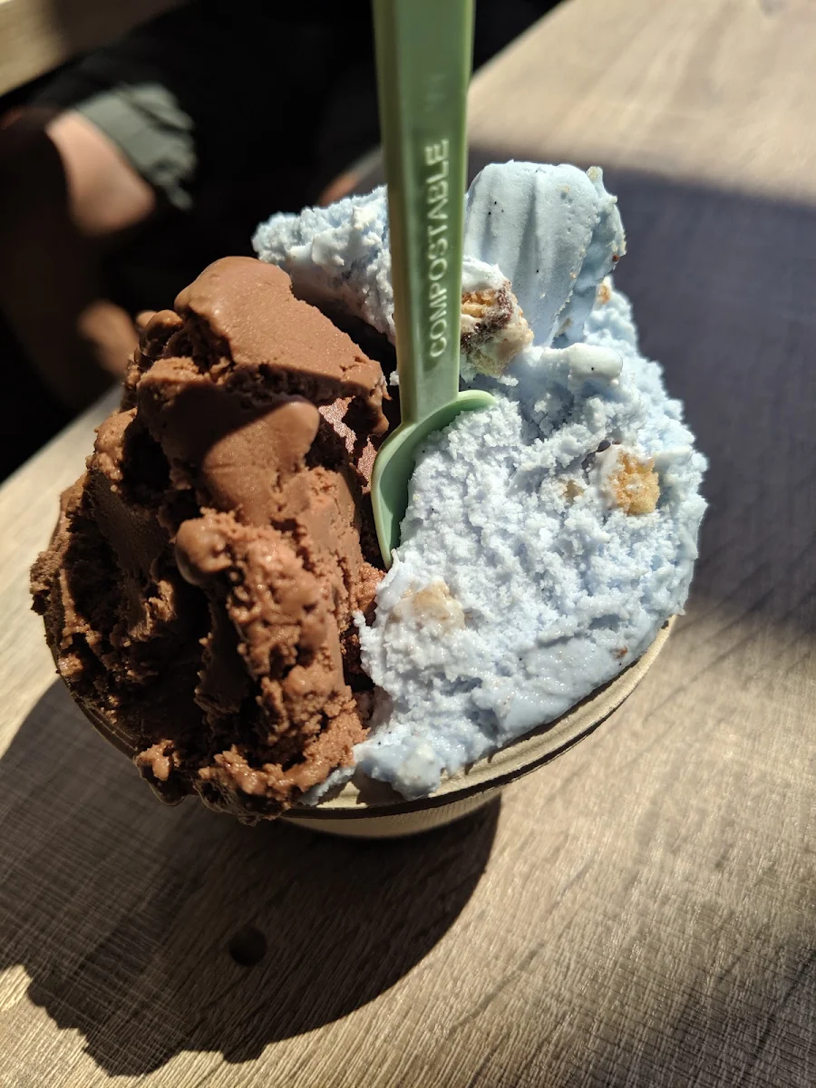 Nutella and Cookie Monster Gelato